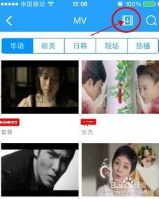 mv日韩手机在线永久免费视频,mv日韩手机在线永久免费视频，畅享视听盛宴