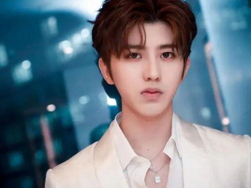 陈晓日韩网友图片高清视频,高清图片、视频惊艳亮相