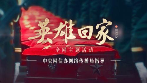 日韩英雄回家视频播放,视频播放背后的感人故事